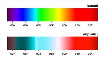 blue yellow color blindness